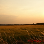Abendlicht