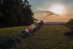 Landschaft